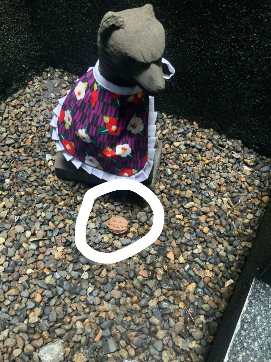 hanabusa_akiba's tweet photo. 胡桃のお供え…
なんだろう？ってずっと思ってたんですが神田明神さんに手を合わせに行ったらそこにも胡桃が。。。

調べたらお供えとして縁起物みたいですね^ ^

秋葉原に来たら花房稲荷神社に寄ってもらえたら嬉しいです⛩️ https://t.co/1Loo3Dkx70