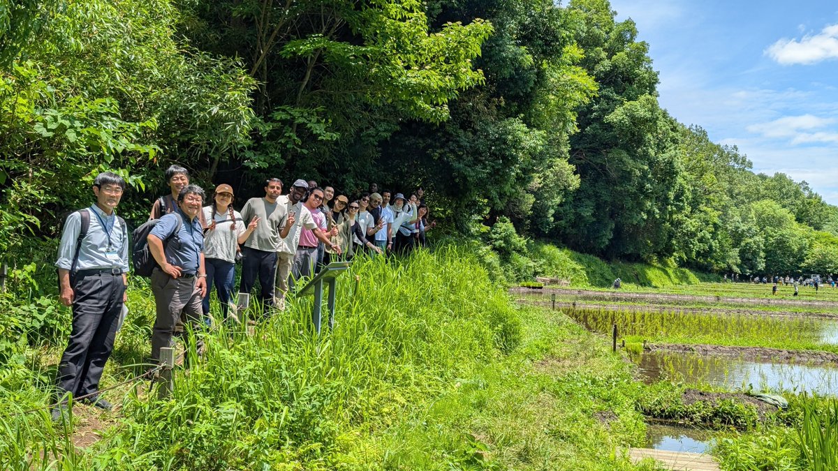 UNUIAS_Japan's tweet photo. 先日UNU-IASの学���が、横浜の里山を訪れました⛰️🌳🌿

都市の中にある緑を保全し市民に憩いの場や���然について学ぶ機会を提供する、都市における里山の多面的な役割を学びました🔍

UNU-IASの大学院プログラムはこちらから： https://t.co/LDglNI5F5m https://t.co/Od9OmQmBym