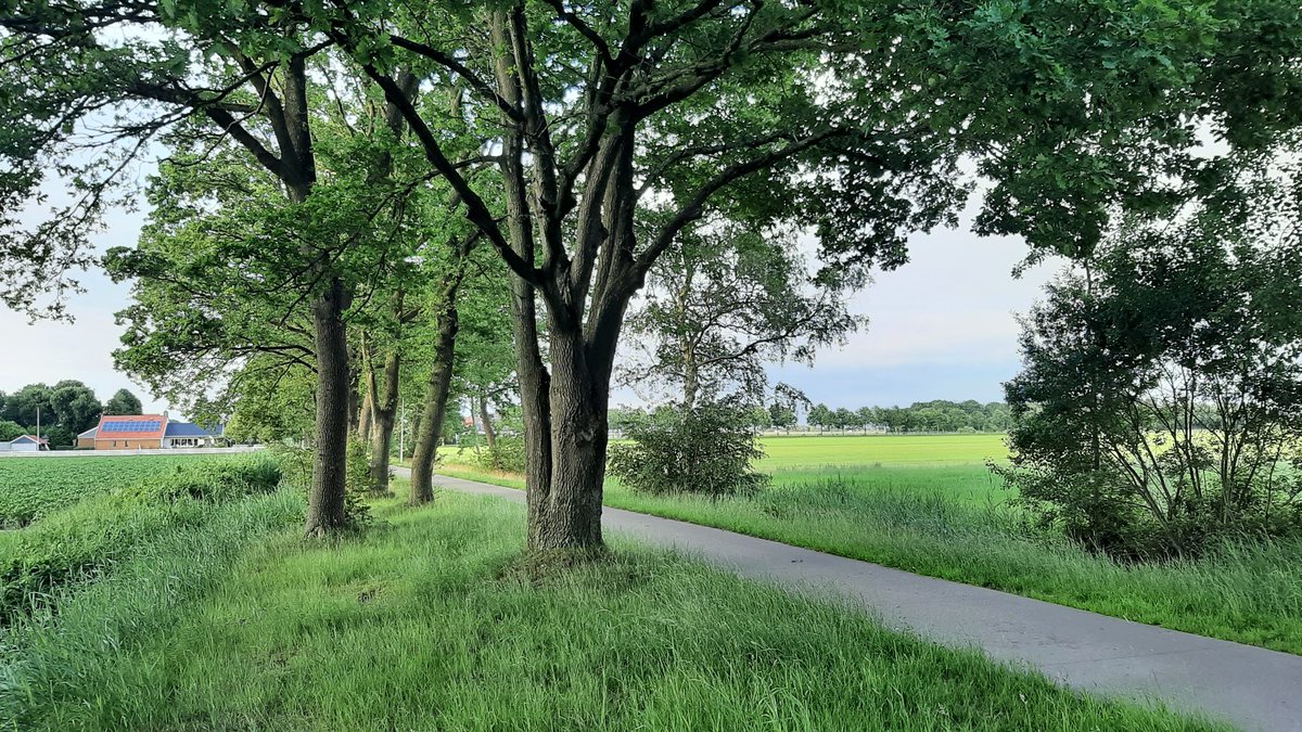 GaWandelen's tweet photo. De wandelomstandigheden voor vandaag (donderdag) zijn matig. Er is veel zon en met 25 tot 32 graden wordt het erg warm. ☀️

Draag een petje, denk om de zonkracht, drink tijdig en voldoende en pauzeer wat vaker, bij voorkeur in de schaduw. #hitte

#wandelen #wandelsport https://t.co/0l9jVlkVy6