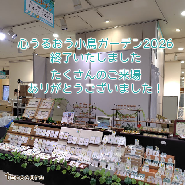 tococoro_mini's tweet photo. 心うるおう小鳥ガーデン2026、無事終了いたしました。お立ち寄りくださったみなさま、ありがとうございました！

ブログ記事
「心うるおう小鳥ガーデン2026」に出展してきました
https://t.co/ny994wjh1E https://t.co/TuCXxC5Ubu