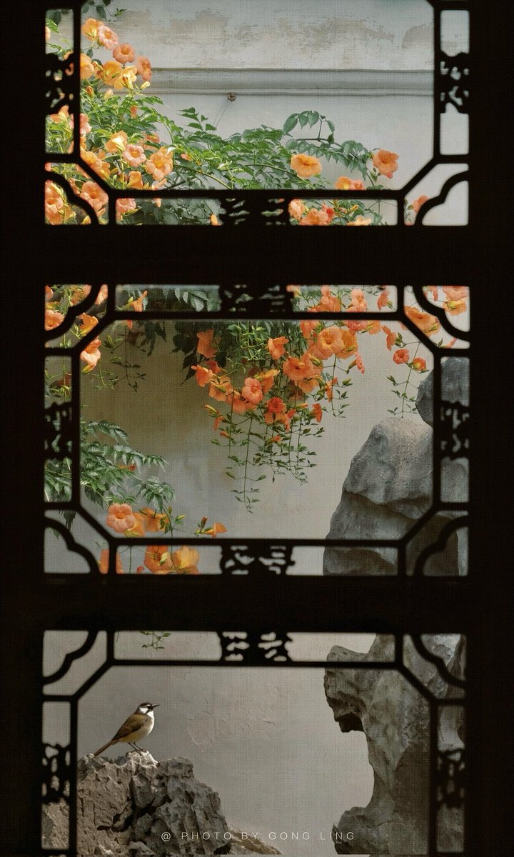 zhouyan20009's tweet photo. 📷江苏 苏州 网师园

明艳的颜色，静谧的江南园林中多了夏天的色彩～😍😍 https://t.co/FMx94BP89B