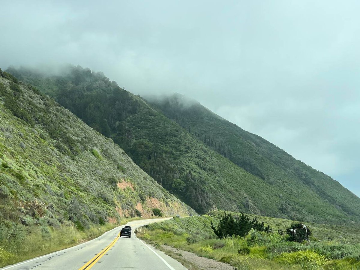 DoreyGogan's tweet photo. The scenery along California Highway 1 https://t.co/z1viUQYwVO