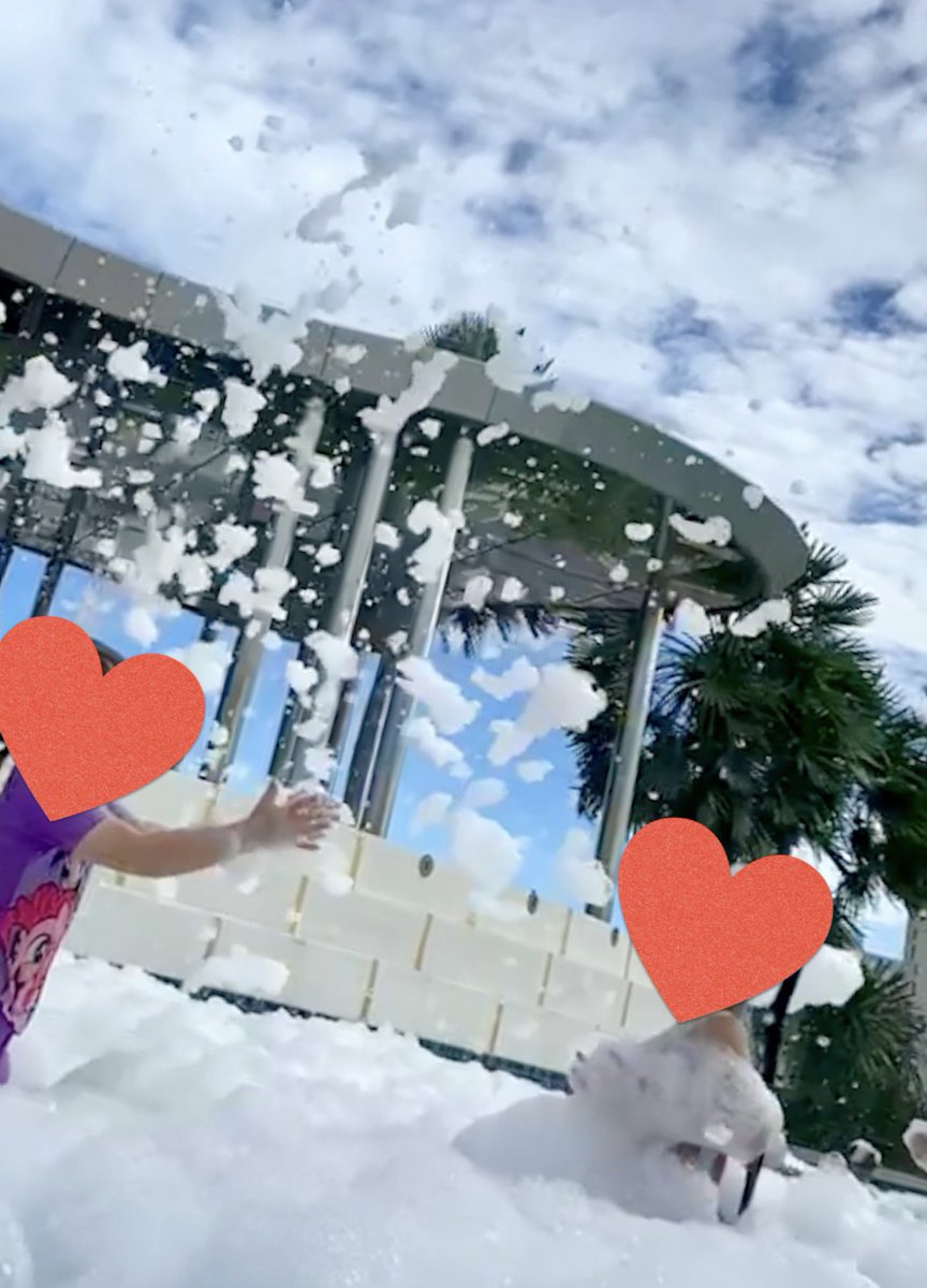it33782899's tweet photo. 今回 パタヤでの宿泊は
グランデ センター ポイント パタヤ
水着のまま遊べるスポットや泡パーティーなどがありおチビはプールを満喫🛟🛟 https://t.co/OGKzafUt2C