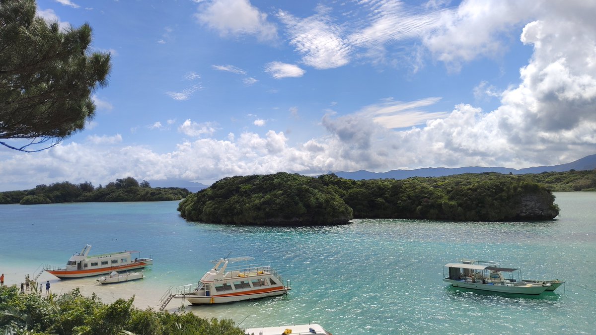 marikko0908's tweet photo. 今日にも梅雨明けか？の石垣島 あっつーい ちょうどハーリーの日で石垣港が賑わってた
この時期に来たのは初めてで、パイナップルのおいしさに感激して種類によって味が全然違うのにびっくりして食べまくった上に持って帰るお土産とさらに自宅に配送してしまった🤭 https://t.co/f64ZZZo9mY