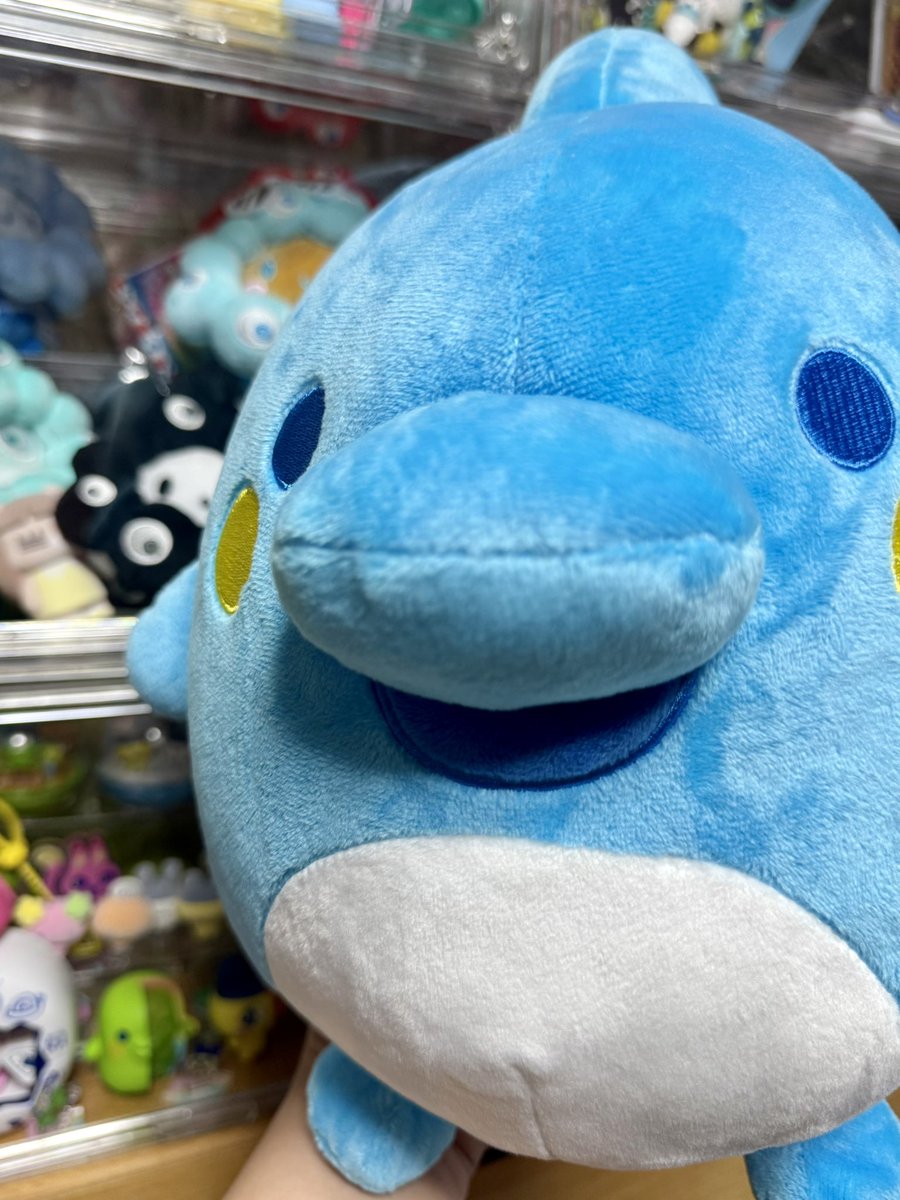 roma_chance's tweet photo. いるかっちも欲しくてもっかいPOP UPへ��ってお迎えした🐬
プライズ限定のもふぐっととは違う可愛さw https://t.co/NnXrgDnokA