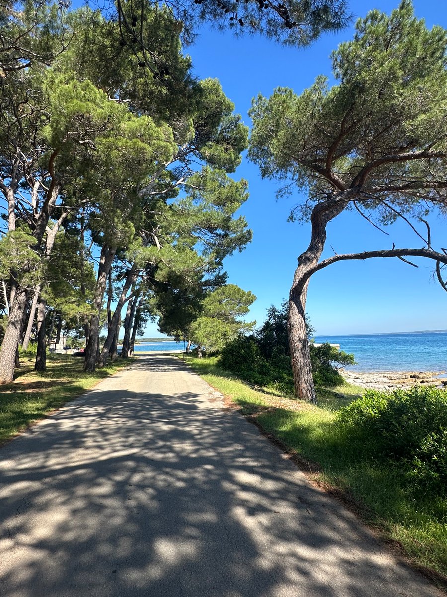 MildredOkello6's tweet photo. My #Eurosummer has just begun 🥰✨ #Croatia #Italy https://t.co/y81XVxsAdy