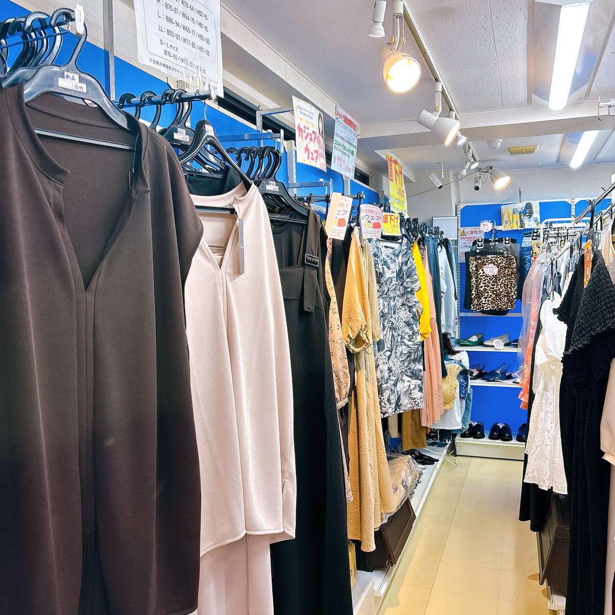 cosmate_plus's tweet photo. お待たせしました‼️
店内工事終了、通常通りの営業中🈺

新商品のインゴムショーツ、是非明るくなった店内でご覧下さいませ。
ご来店お待ちしております。

#コスメイト #コスチューム #コスプレ #秋葉原 #衣装 #セーラー服 #インナー #オリジナル #レオタード #スクール水着 https://t.co/dCMGJL02Oq