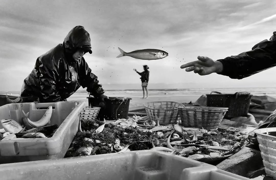 drilkertelli's tweet photo. Tadeu Vilani çok uzun süredir takip ettiğim bir fotoğraf sanatçısı. Pampa’nın Gözleri ( 2011 yılında ) adlı çalışması ile tanımıştım. İtalyan sinema dünyasının Yeni Gerçekçilik akımının etkilerini ziyadesiyle görürüz çalışmalarında. “An” adını verdiği bu fotoğrafa bayılırım. Ne yazmıştı merhum Bülent Akyürek; “Hayat şimdiye sığıyor da anlamak sonraya kalıyormuş meğer.”