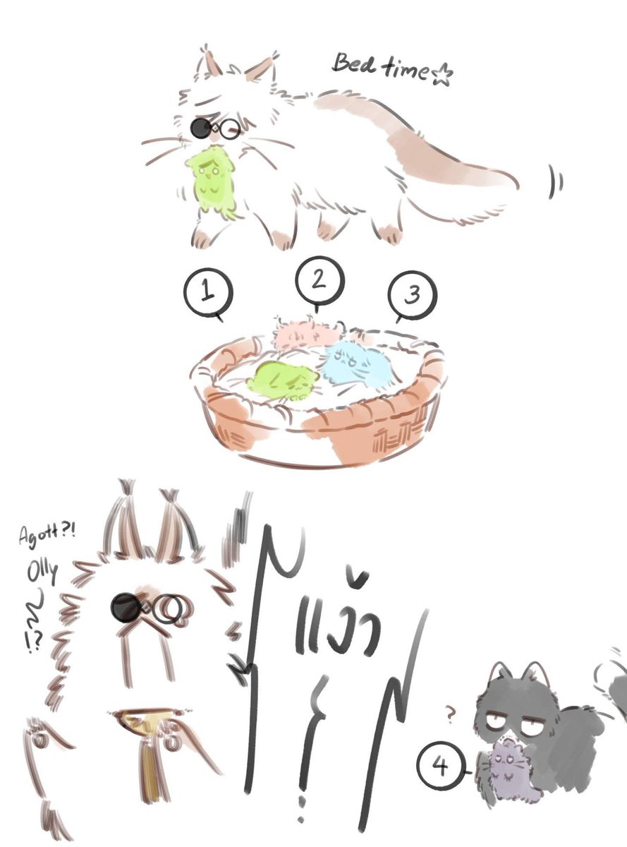 onyx_knight's tweet photo. ก้อนขนหายไปหนึ่งก้อน https://t.co/ImAUPNjCoc