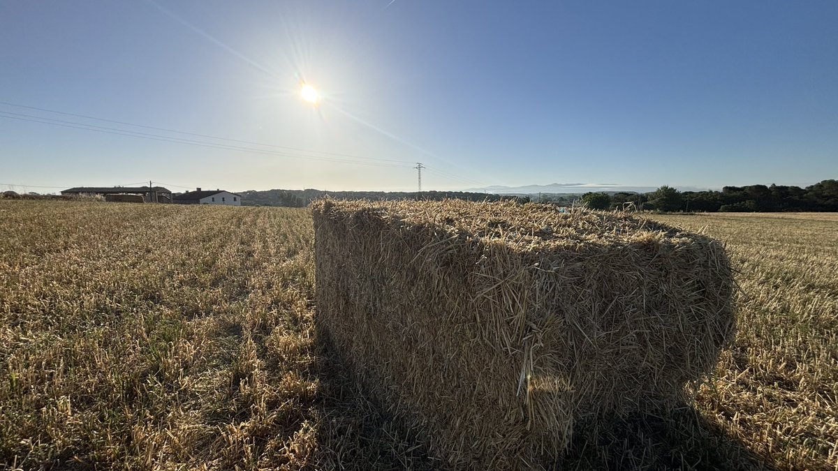 Martonapm's tweet photo. Bon dia #Sils @soniapapell @gemmapuigf @alexmegapc @3CatInfoelTemps @meteorac1 @meteocat @tempsdemeteo @meteobarrufet @aemet_cat @marcsilvestre7 @seguimlameteo @SergiLoras @eltemps_rtve @mauri_francesc @aquilatierratve #TotEsMou3Cat @BtvEltemps #ElTemps3Cat https://t.co/yIVjcoV9p8