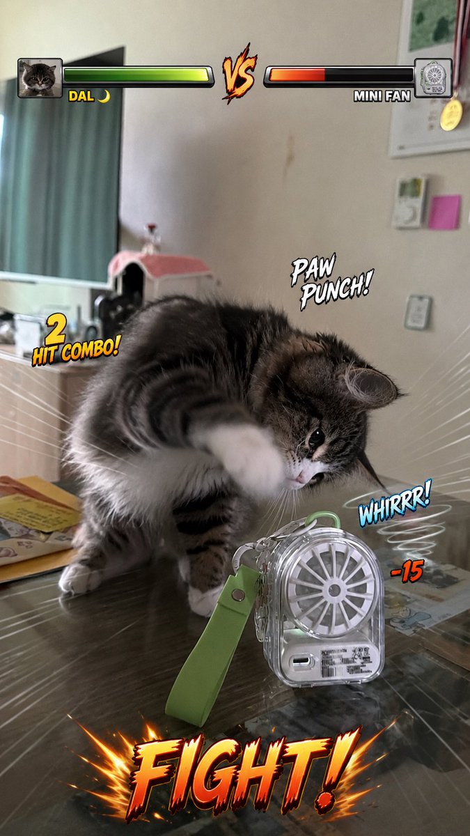 Sweet_bean0404's tweet photo. 미니선풍기와 냥냥펀치의 대결 https://t.co/x7nrP227cI