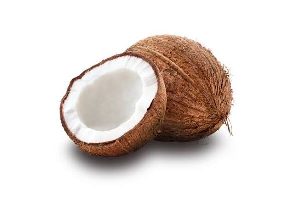 objectobje's tweet photo. @faget9261530128 coconut 😭😭🥥🌴 https://t.co/DMOwhS6qMl