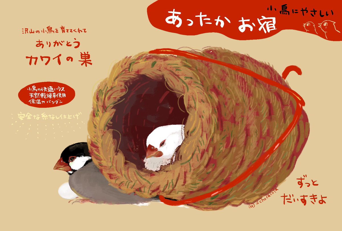 schocacola's tweet photo. ながらく良いお品物をありがとうございます
新品サブもまだ置いてあります　泣きました https://t.co/ysZT4O5IRp