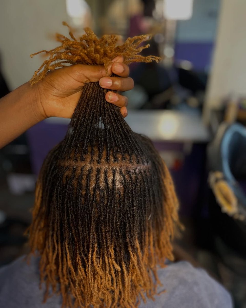 cherishedcrown_'s tweet photo. Clean Reties for the win. #microlocs #locs #locmaintenance https://t.co/zcGurDQsEv