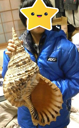 こんなデカイ法螺貝で笛を造ったら、野太い音が出そうですね🤩