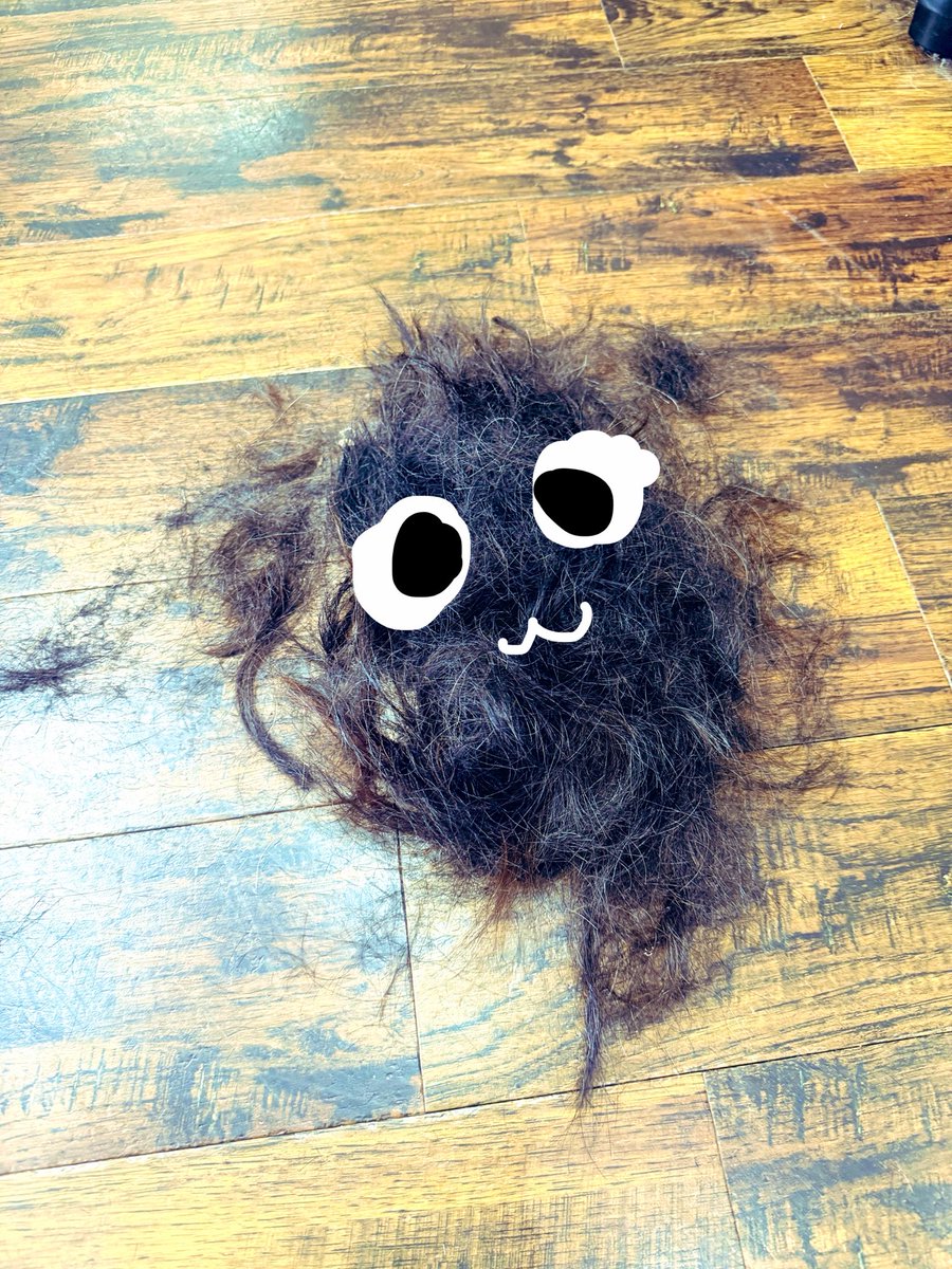 superjuni212's tweet photo. 髪切りました✂️

理由は剛毛な髪のせいで
ゴムが千切れるからです

名前もかえまーす
でも今の名前気に入ってるから
付け足すだけにしよっと♡

バイバイ剛毛👋🏼 https://t.co/3a2zTfgejT