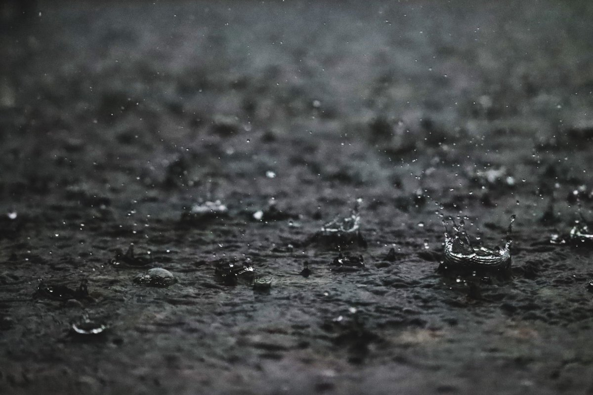 BuyEnglishMade's tweet photo. Word of the day: petrichor. 

The earthy scent that rises when rain falls on dry ground, that clean, mineral smell after a long dry spell breaks.

"She opened the window to let the petrichor in, that first breath of rain on thirsty earth."

A word for something everyone has smelled, and few can name.