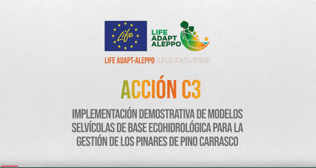 adaptaleppo's tweet photo. 💧🌲 ¿Puede la gestión forestal mejorar la disponibilidad de agua? Con #SelviculturaEcohidrológica lo hemos demostrado en campo.
Observa cómo en nuestro vídeo.
🔗 https://t.co/3H14sXjbKN
#LIFEProject #adaptaleppo #LIFEAmplifiers https://t.co/2aNXPV7ATq