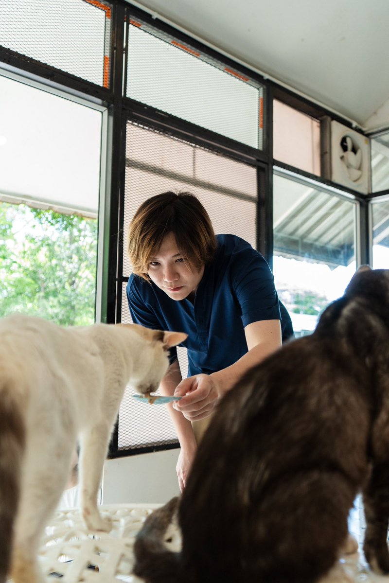 epnewsonline's tweet photo. ระยะทางไม่ใช่อุปสรรค! ของพลังรักบริสุทธิ์ "คชา นนทนันท์" และ "ชาวฮิปโป" ขอจับมือทำสิ่งดี ๆ ร่วมบริจาคช่วยเหลือสัตว์พิการ

#Kachanontanun 

🔗 https://t.co/UoDzQB2l3l https://t.co/v1h842HAIl