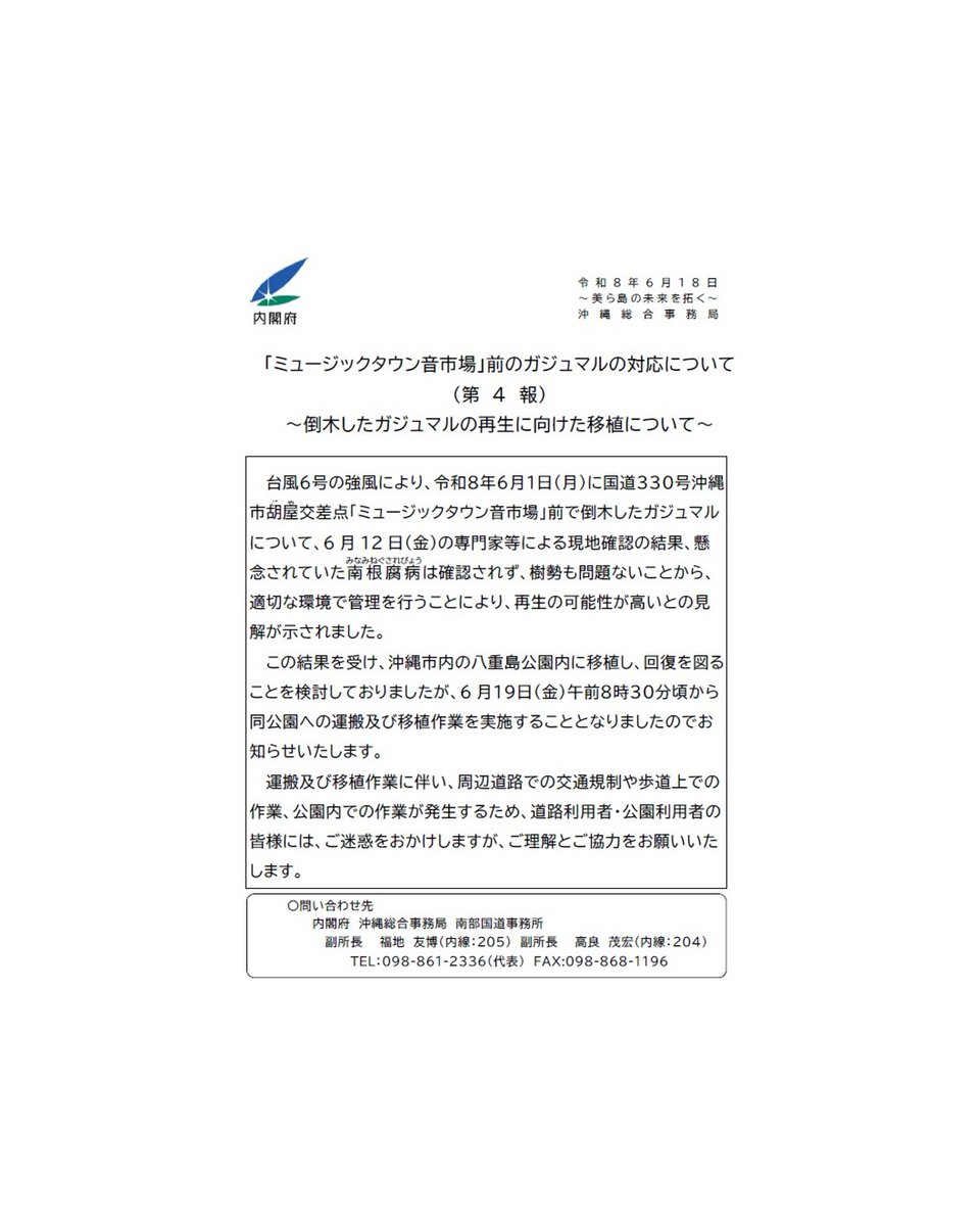 okisokyoku's tweet photo. 【南部国道事務所からのおしらせ】
台風6号で倒れた沖縄市胡屋交差点のガジュマルについて、明日6月19日（金）午前8時30分から沖縄市の八重島公園内へ移植します。
詳細については、添付をご確認ください。ご理解とご協力をお願いします。
＃胡屋交差点 ＃ガジュマル https://t.co/sSZ5yFVLt4