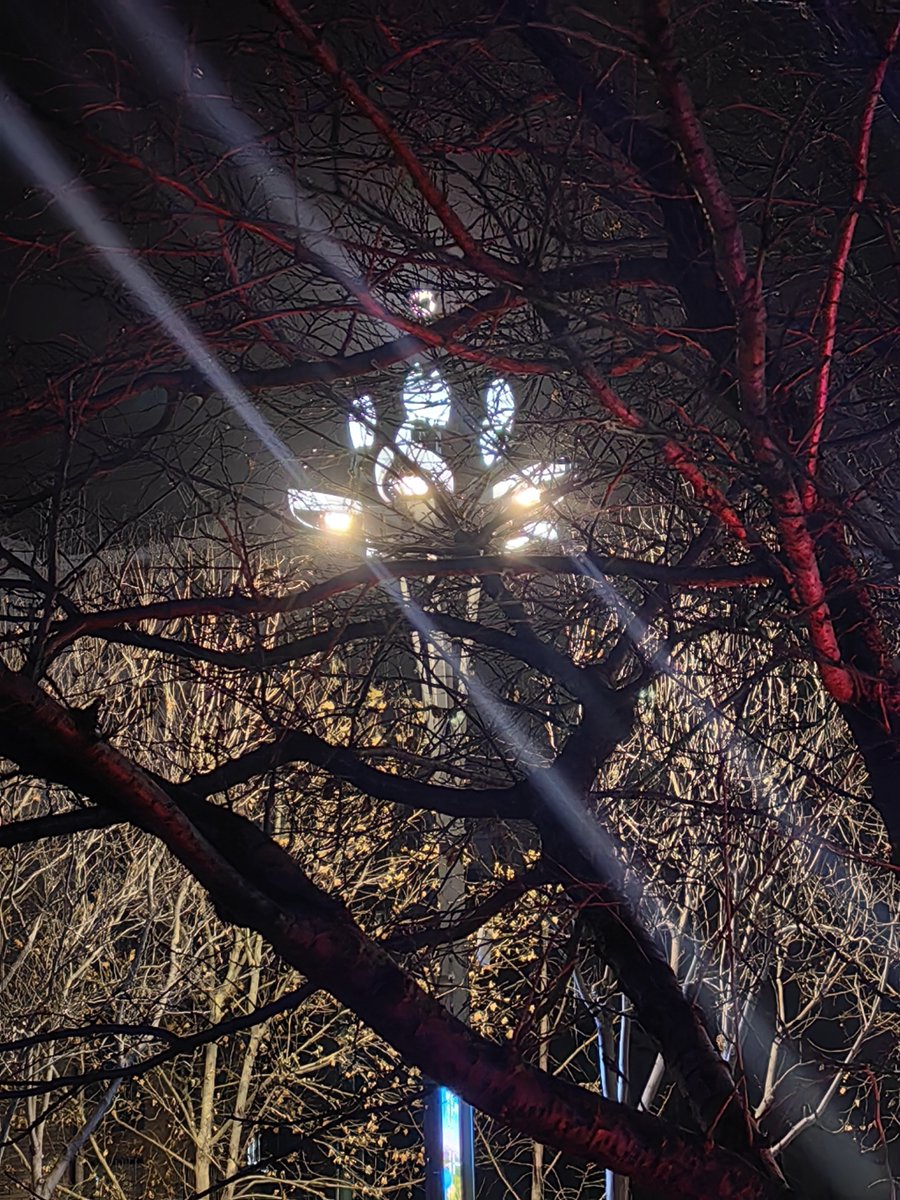 mauv____'s tweet photo. Just had a late-night walk and the breeze hit different—for the first time in weeks, my chest feels light. Small wins hit hardest. https://t.co/px2iKC3VJO