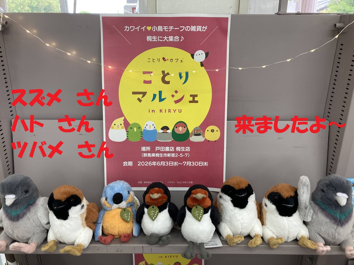 開催中の #ことりマルシェ フェア 🐦️また可愛い小鳥たちが舞い降り