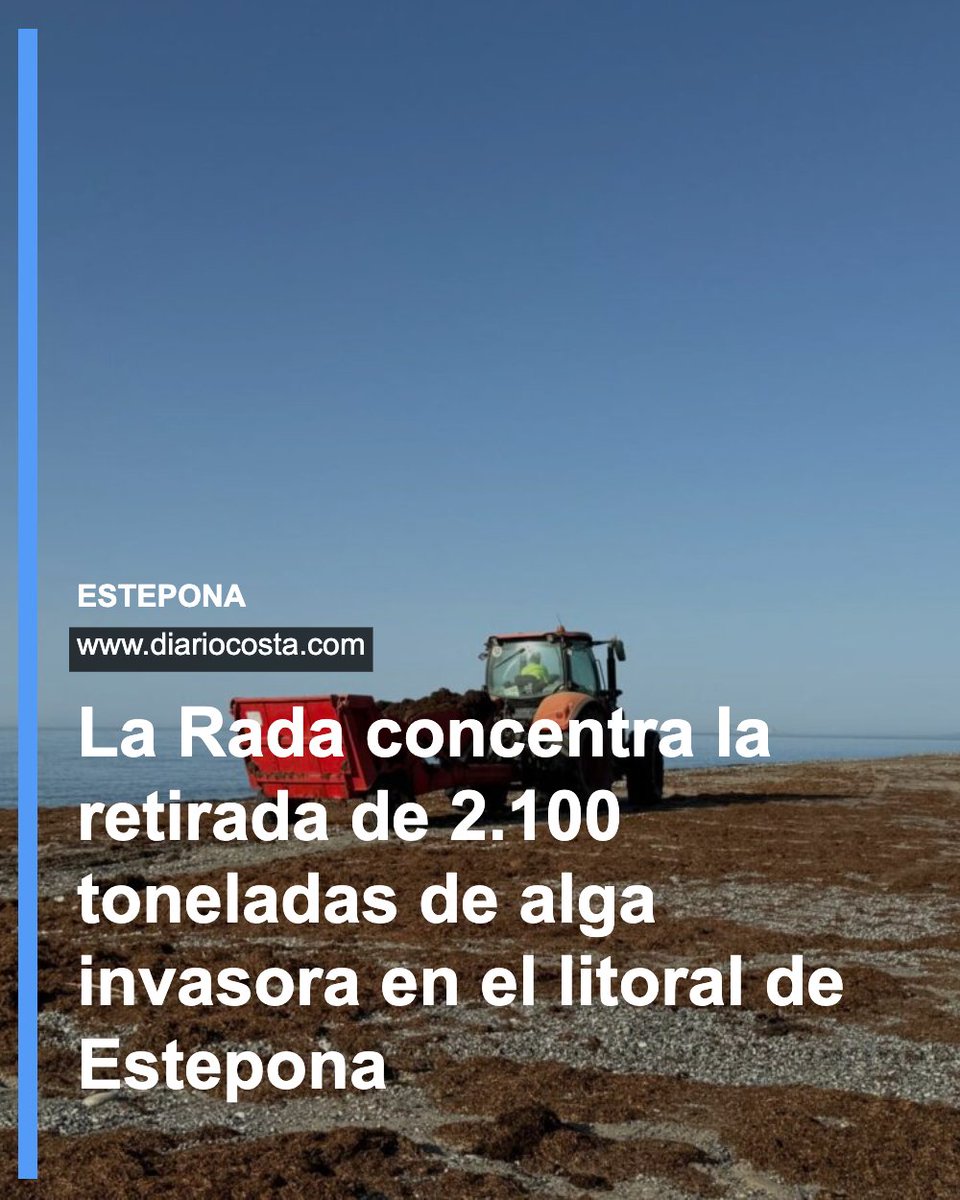 DiarioCosta's tweet photo. El litoral de Estepona suma una previsión de 2.100 toneladas de alga asiática retiradas, repartidas entre las 1.100 ya recogidas en La Rada y más de 1.000 estimadas en el resto de playas. 🔵 Leer más: https://t.co/h6n14FfFxW https://t.co/FqF7sUCa2c