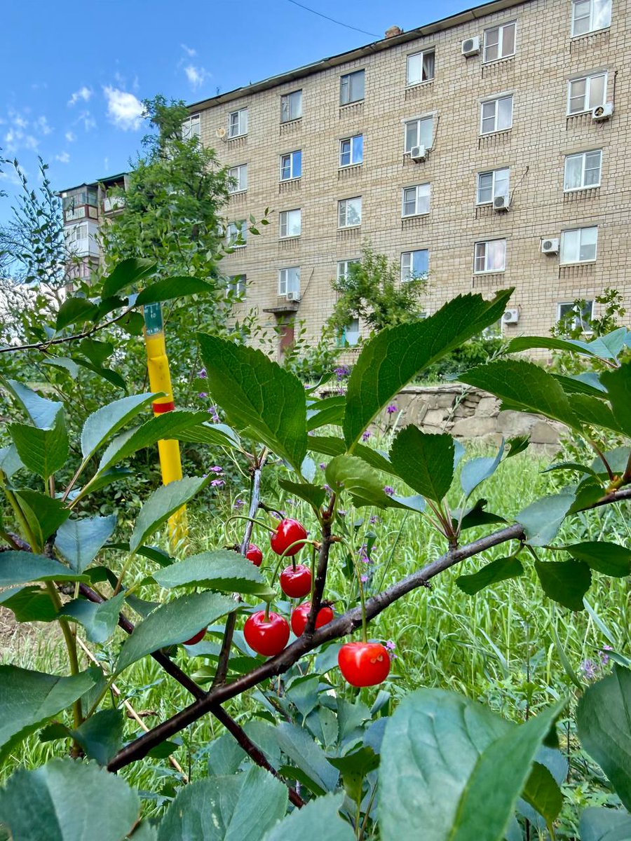 stef13ch's tweet photo. @z_sandr Окрестности рядом..! 
Всем👋! 

Сегодня в Красном Сулине от +19 до +26 градусов 🌡

Облачно, без осадков ⛅️

Ветер до 3 м/с 💨 https://t.co/cUniGzHy67