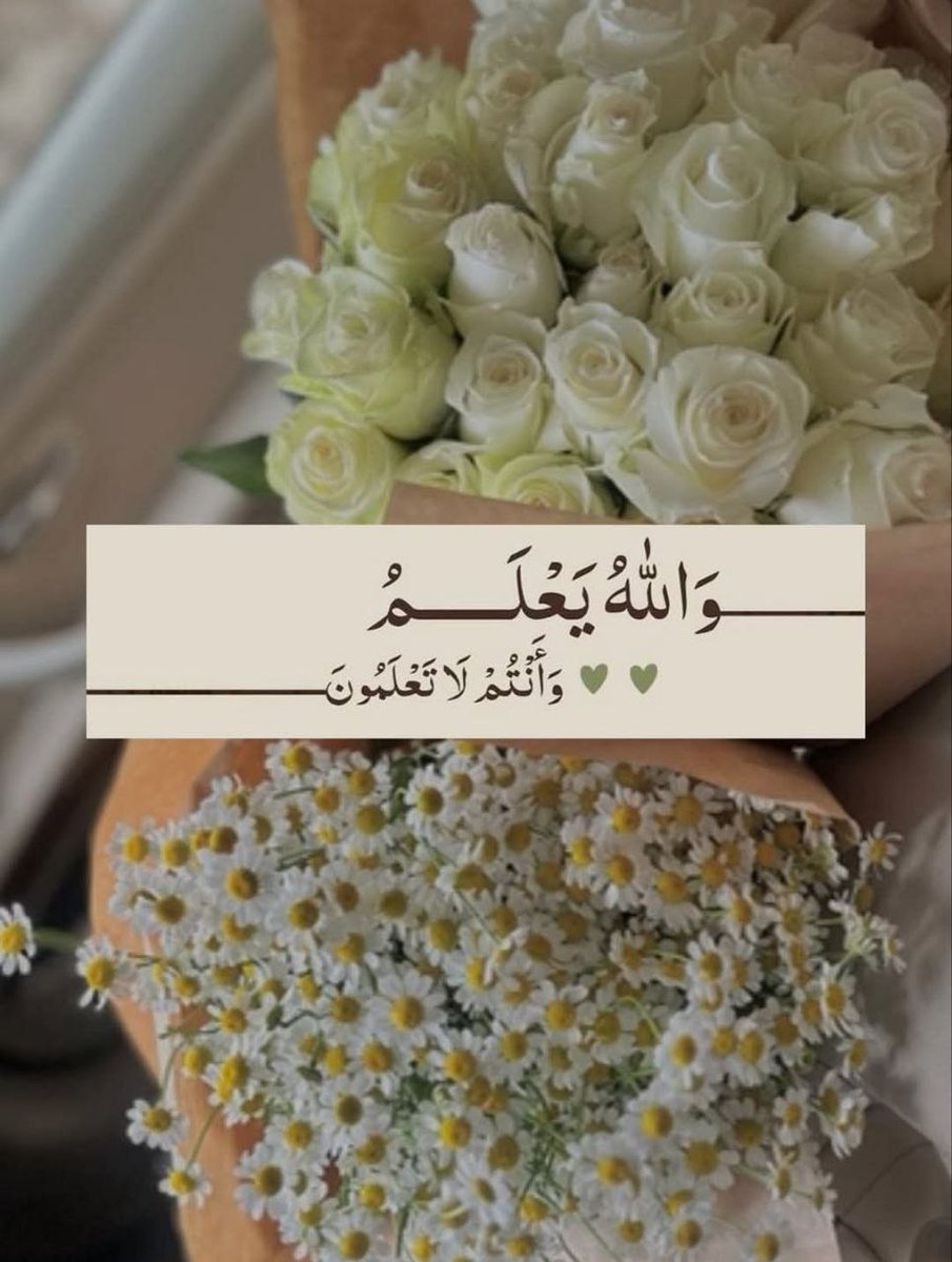 zyzh0364's tweet photo. وأبشر سوفَ تنهمرُ العطايا...
   فمَن تدعوهُ منَّانٌ رَفيق..🌿

#صباح_الخير_والسعادة https://t.co/qj8Qqni6xp
