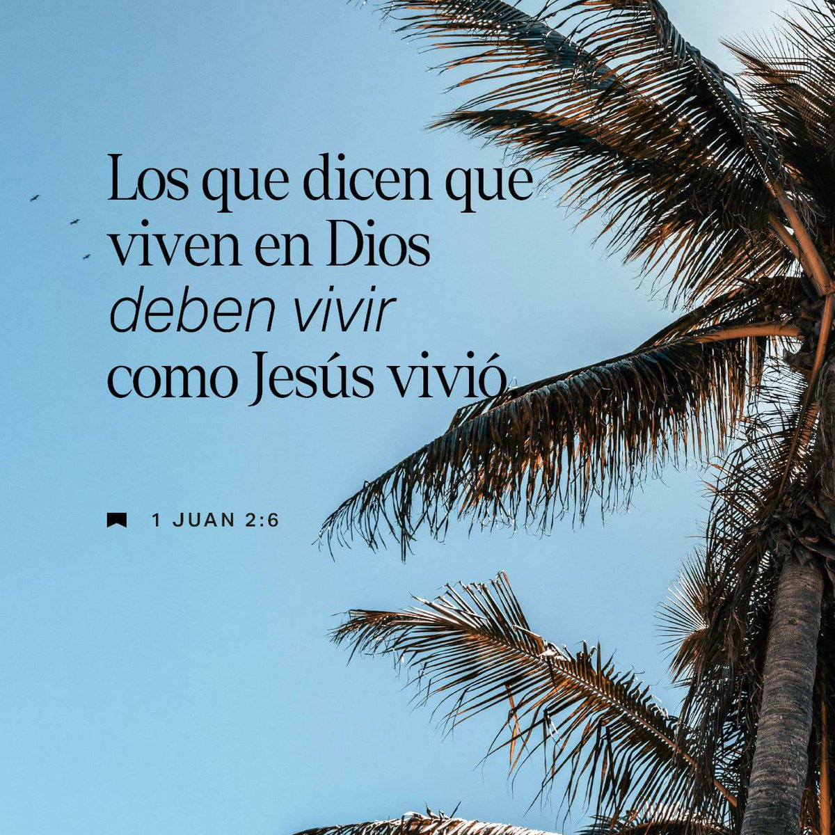 Manuel Benítez tweet media