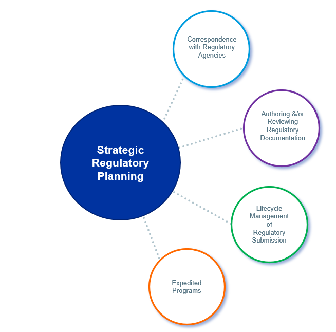 QPSHoldingsLLC's tweet photo. Navigate global regulatory complexity with confidence. #QPS Global #RegulatoryAffairs experts support every stage of #drugdevelopment, from preclinical planning and INDs, including expedited pathways. Get started here: https://t.co/URvc7S9lGc #ClinicalResearch https://t.co/oHkqk6R8CS