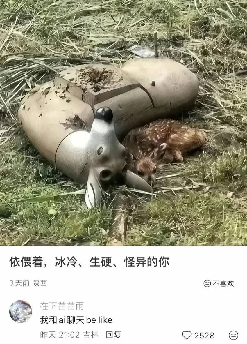 雲鳩 tweet media
