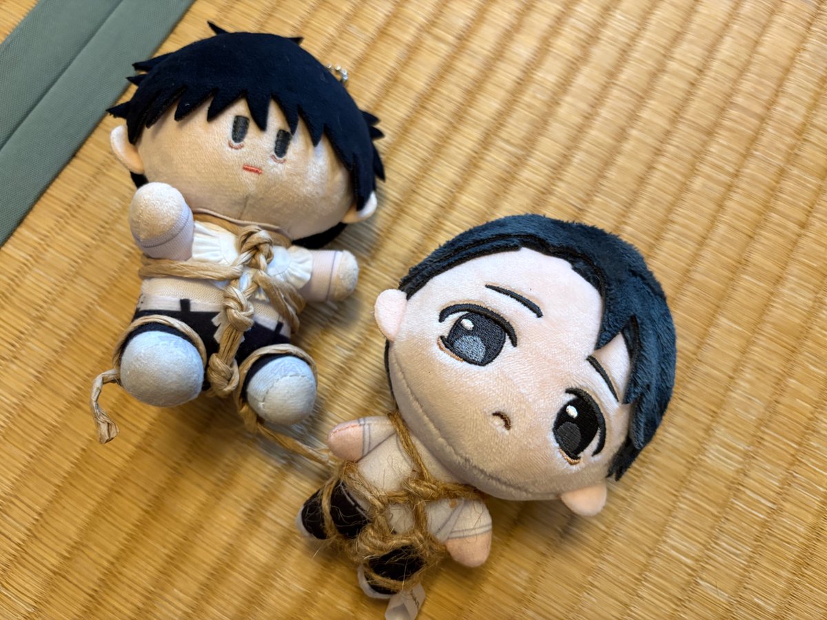 s_colo02's tweet photo. 原稿合宿をしてきました。資料提供として立体石と連載時切り抜きを持っていきました、素敵な新刊が出来上がりますようにと願っています🐥🐥🐥 https://t.co/gyLtEcLkPz