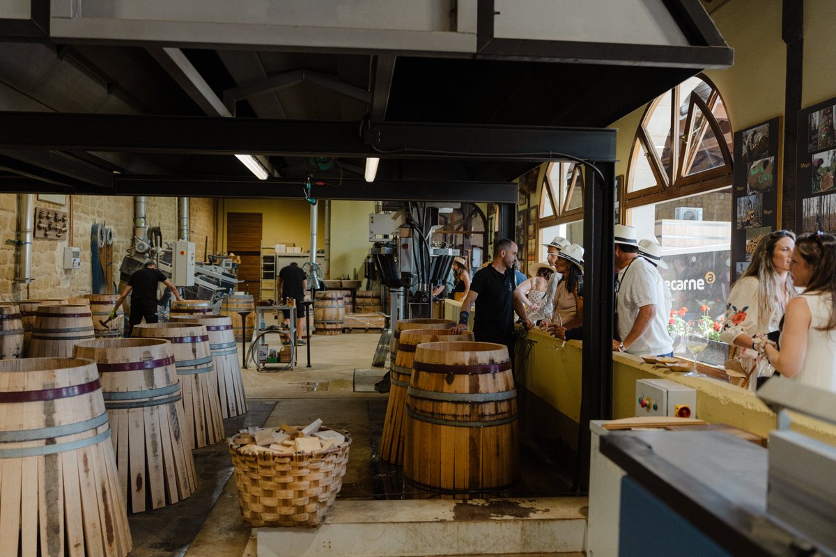 bodegasmuga's tweet photo. Así vivimos en Bodegas Muga la 6ª edición de #LaCata26 del @BarriodEstacion.

Un día para disfrutar del vino, la gastronomía y el gran ambiente que se respiró en Haro junto a todos los que nos visitasteis.

¡Gracias por acompañarnos! 🍷

#BodegasMuga #Mugalovers https://t.co/115Kvfgt6k