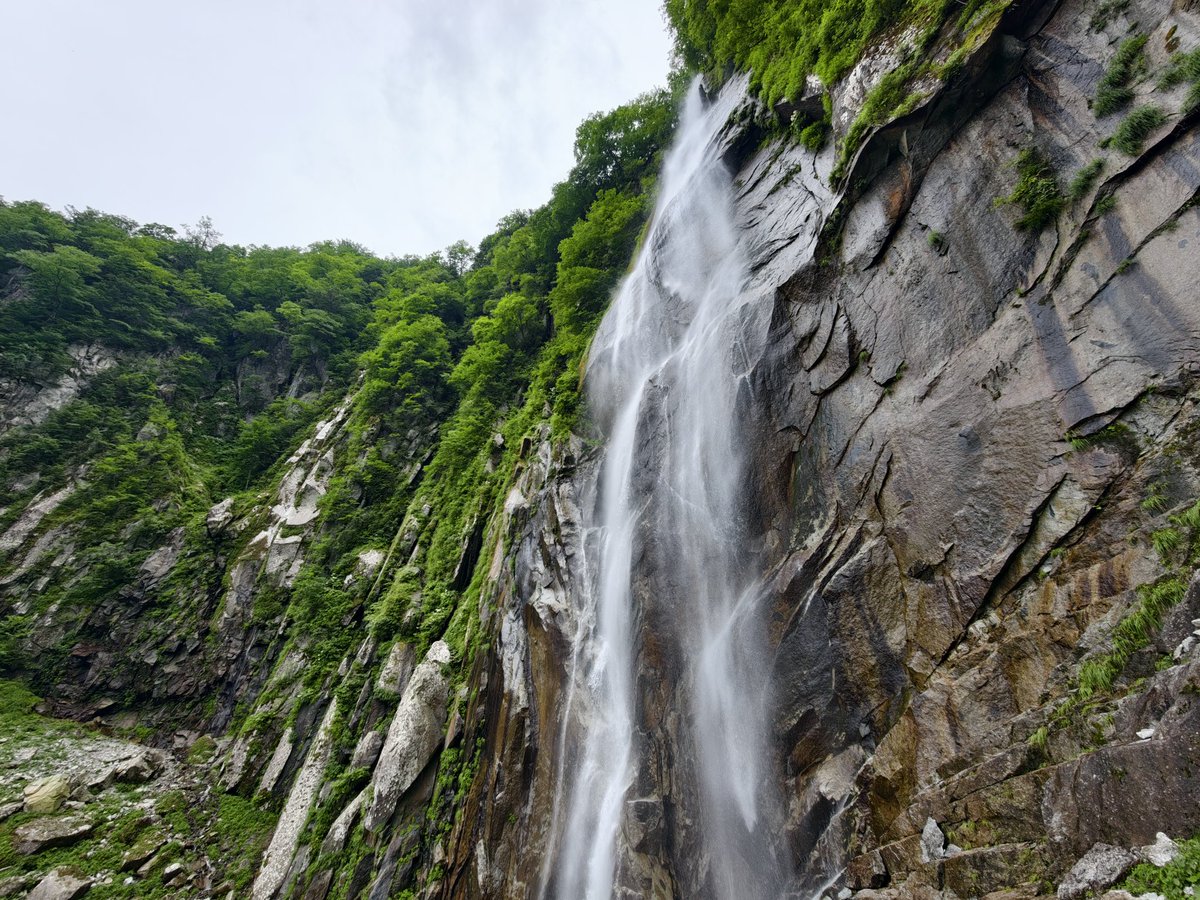 SAWA_alk's tweet photo. 6/13-14 大武川赤薙沢ミツクチ沢遡行〜離山〜石空川北沢下降
怒涛の連瀑に花崗岩の白亜の宮殿。こんな真っ白くて明るい沢は久しぶりかもしれない！赤薙沢のゴルジュ区間も最大限に水線突破できて満足。現地の地形と河川争奪の痕跡を照らし合わせるジオい沢で面白かった〜！ https://t.co/gyAEWJnYJn