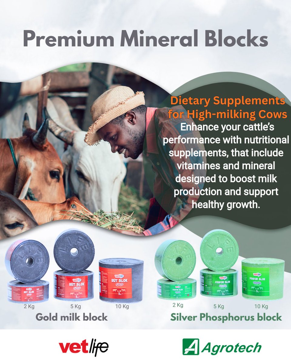AgrotechRwanda's tweet photo. The Mineral blocks are your ally. Enriched in vitamines and essential minerals, they allow animals to self-regulate and get the nutrients they need. Resulting in an increase of milk production and improve quality.
#dairyfarming #milkproduction #livestocknutrition #Agrotech https://t.co/UOCbLFgDJs