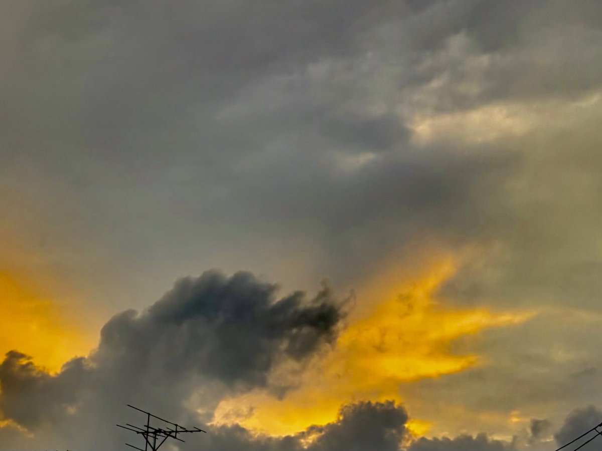 OtyatoHitaki's tweet photo. こんばんは🌛
今日出かけた時に買い忘れたものを明日買おうと思っているのですが、また忘れそうだなあと不安な夜です🥺
メモをしていても何故か買い忘れてしまうのは何故なのでしょうか(–_–“) https://t.co/OWtrnxSrMU