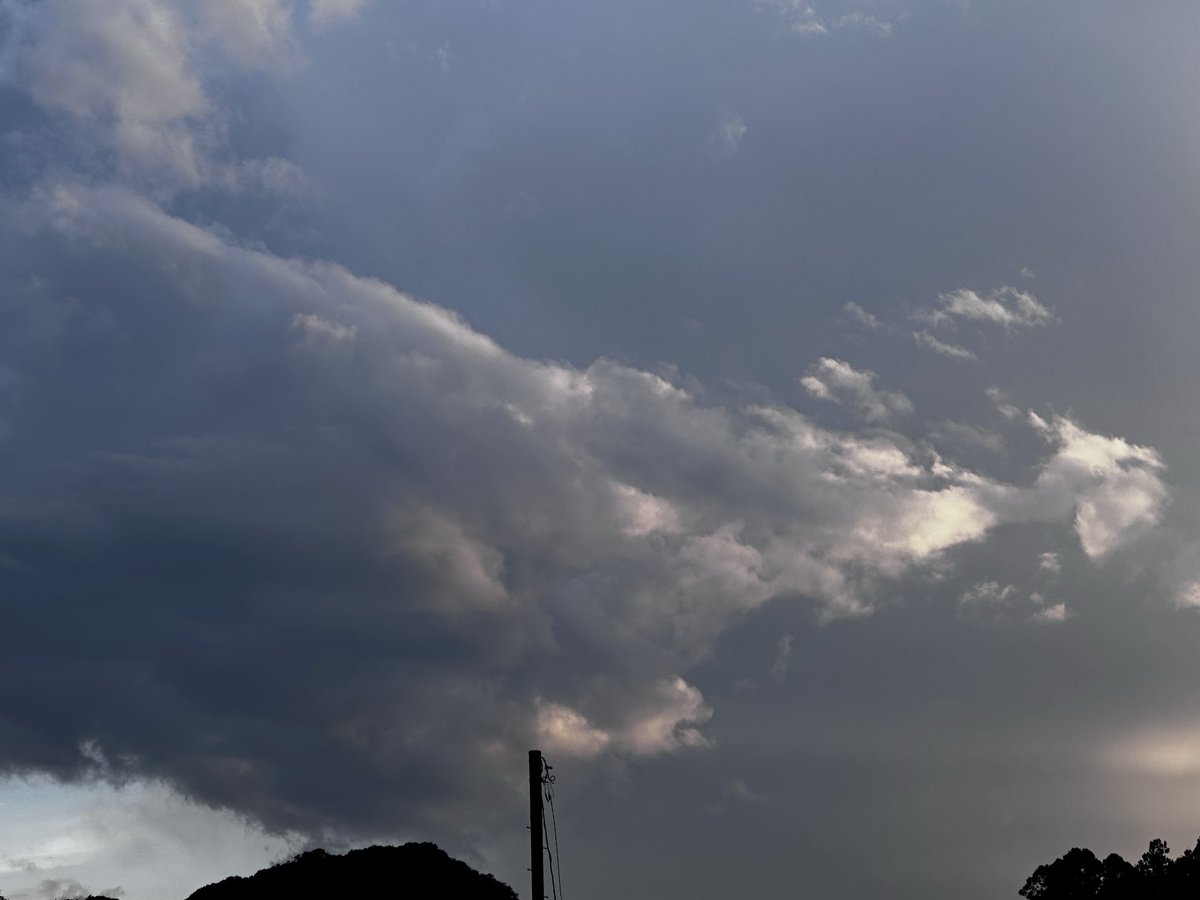 Wind_Sky_358's tweet photo. #2026_Jun_18
.
今日も無事に過ぎる
気温が上がって来たら
体調が戻り始めた
と同時に蒸し暑さまでが
そんな日には
外に出て風を探す
吹き出した汗を
自然の風が拭って
身体を冷やしながら
去って行く時に
身を委ね両腕を広げ
抱きしめて微笑む
幸せだよと
.
#愛燦々_小椋佳
https://t.co/gg4QiuDo8N https://t.co/G4SDRLHK1p
