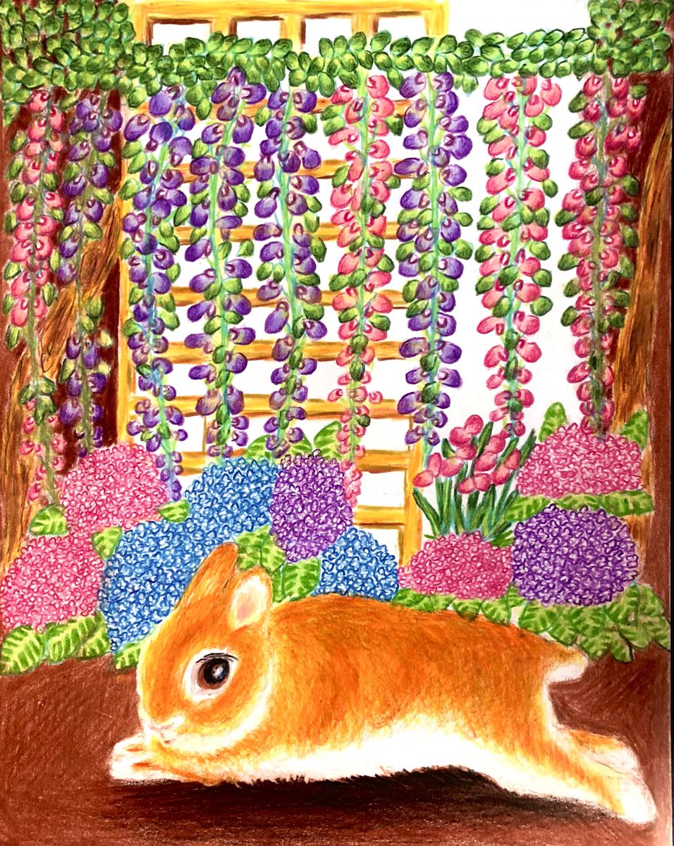うさぎ魂🐰🍓 (@mofumofudamasii) / Posts / X