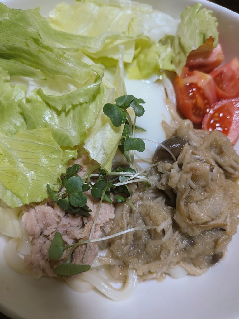 choro2913's tweet photo. サラダうどんとひじき🥗
いただきまうす🐭✨ https://t.co/aHSHnSAqYZ
