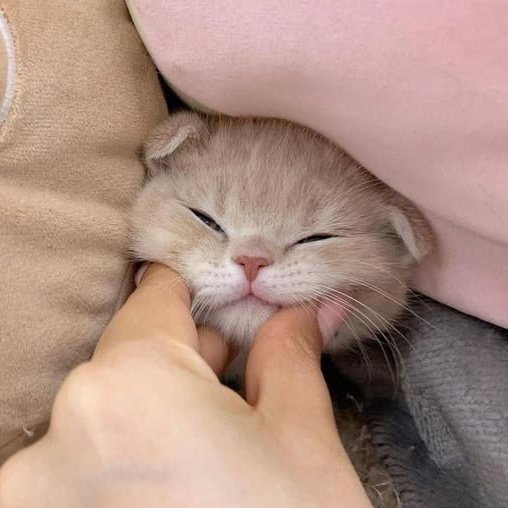 kittyperth's tweet photo. https://t.co/NcYZiYxtNC
