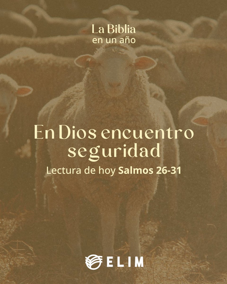 misionelim's tweet photo. Estos salmos nos recuerdan que, en medio de la dificultad, la confianza en Dios sostiene y da paz. La verdadera seguridad está en el Señor.

✨ En Él encontramos firmeza en todo tiempo.
 
#PlanDeLecturaBíblica #OrdenCanónico #PlanBíblico2026 https://t.co/NXDAL5lI1i