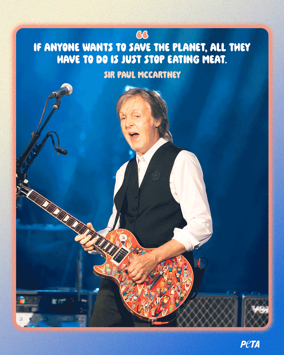 PETAUK's tweet photo. Happy 84th birthday to Sir @PaulMcCartney –– a music icon and pioneering voice for animals and kindness in equal measure 🎉 https://t.co/unKnKDZNgH