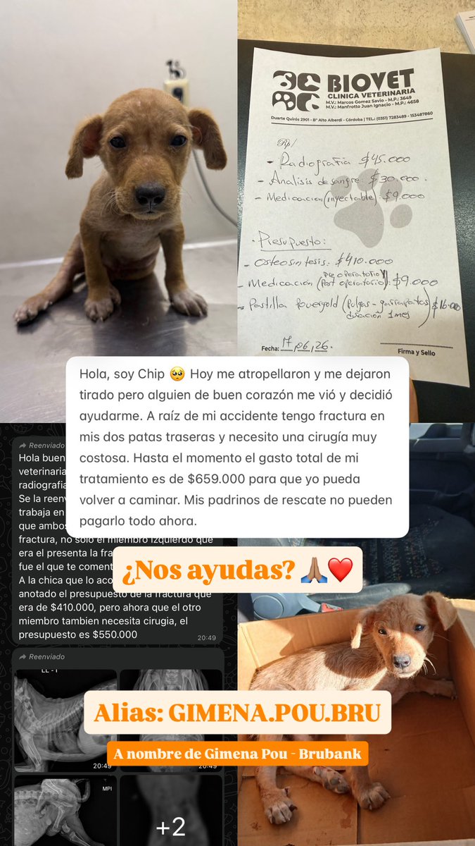 GimePouJ's tweet photo. 🙏🏽❤️ https://t.co/u7RTdOXdZH