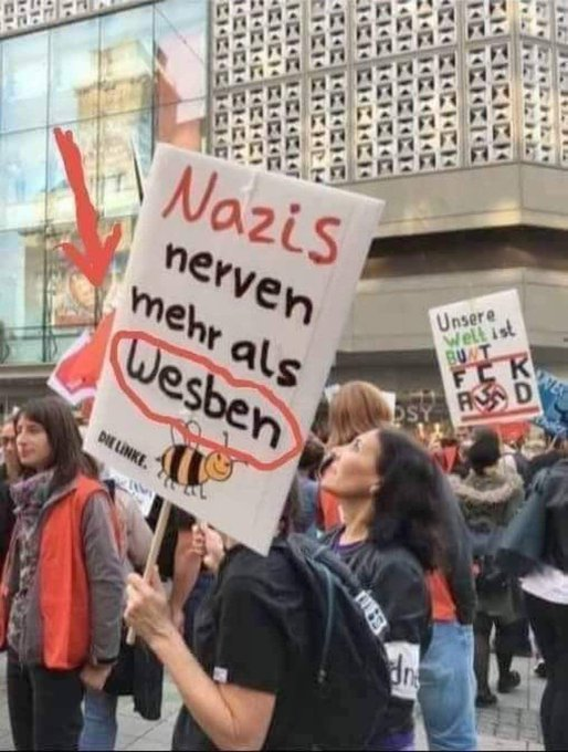 ernsterjuenger's tweet photo. Und Pienen! Und Hornissten!  👍 https://t.co/MzBAC7BDFA