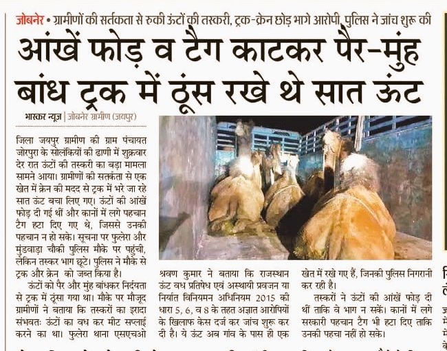 saviour_9019's tweet photo. Maharana Pratap wore an elephant mask on Chetak to confuse the enemy, showing deep tactical trust
They fought as one.
Today, we fail to coexist even peacefully with community animals. 
#Chetak #MaharanaPratap #TributeToChetak

#AmendPCA #StopAnimalCruelty https://t.co/wwDizqcUjU