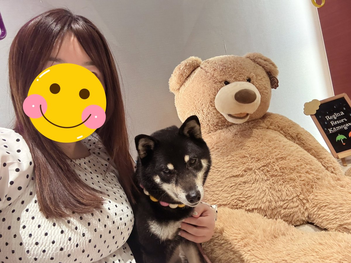 yukanyan2525's tweet photo. こむと一緒に(Ｕ＾ω＾）🧸📷´-

こむぎさん仕方ないなーってお顔で撮ってくれてるw #こむぎちゃん日記 https://t.co/70rtMxJVk5