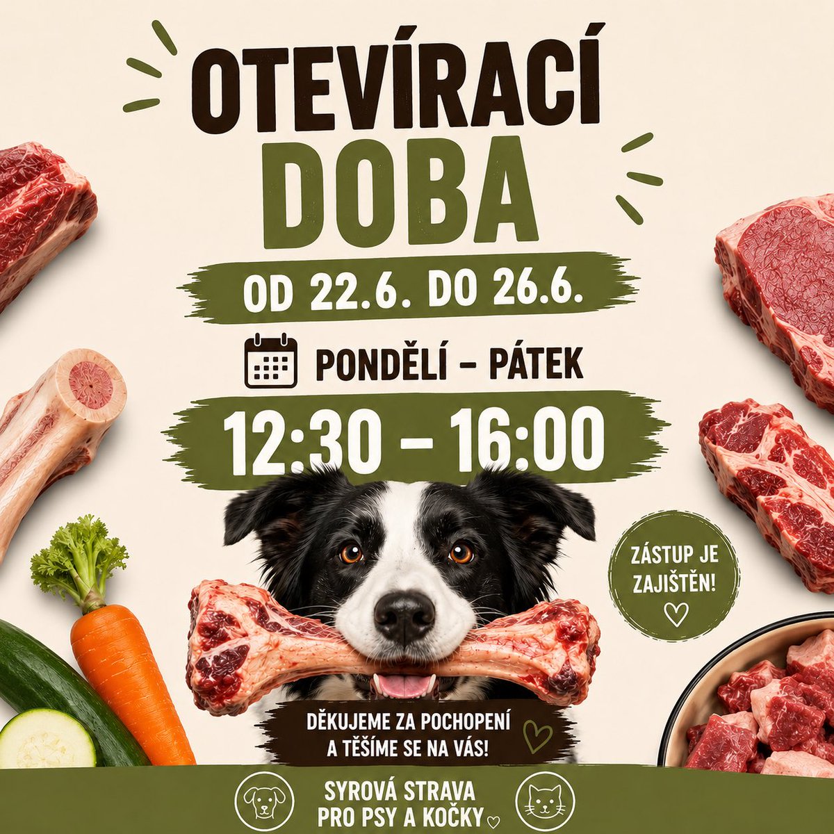 barflife's tweet photo. My budeme sice odpočívat, ale prodejna pojede stále v zápřahu! Jen s našim záskokem a s pozměněnou otevíračkou…každý den si můžete přijít vybrat cokoliv, na co má váš chlupáč chuť a to od 12:30 do 16:00 🏁 #barf #barflife #dovolena #nezavíráme #pokračujeme https://t.co/dqqeVUtVza
