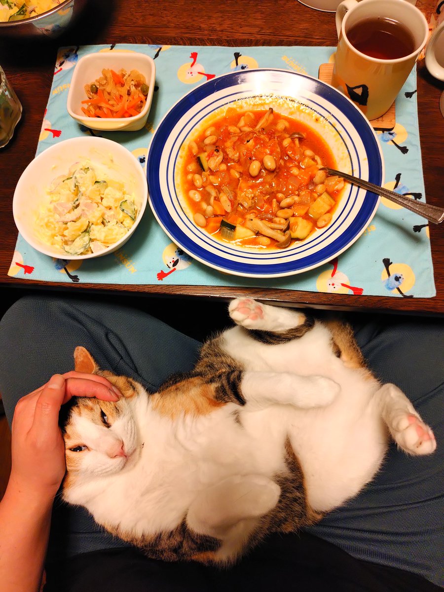 kawaii_nekoniko's tweet photo. チキンのトマト煮込みポテトサラダたべました https://t.co/s5X27JEJI5