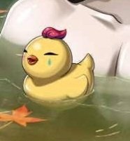 컹 tweet media